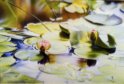 "August: Bill's Pond, Acrylic on Canvas, 30" x 48", ©1996