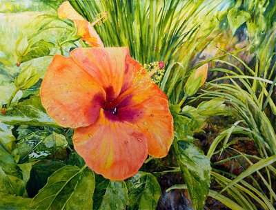 Ross Barbera, "Orange Hibiscus," Mounted Watercolor on Canvas, 32" x 42", 2016