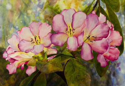 Ross Barbera, "Red Rhododendrons," Mounted Watercolor on Canvas, 32" x 42", 2014