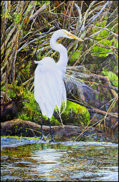 ​"Egret: Early Summer, Avalon Preserve, Stony Brook, NY" by Ross Barbera 
Mounted Watercolor on Canvas, 43" x 28", 2017