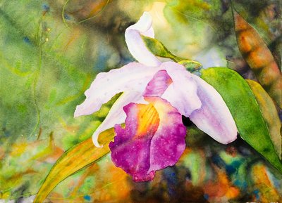 Ross Barbera, “San Francisco Orchid," watercolor on paper, 22" x 30", 2017