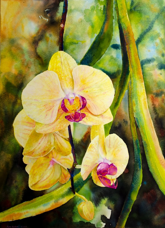 Ross Barbera, “Phalaenopsis Orchids," watercolor on paper, 30" x 22", 2017