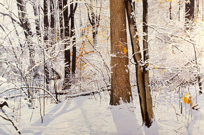 "Winter of 94: Snow and Ice," by Ross Barbera, Acrylic on Canvas, 48" x 78", ©1994